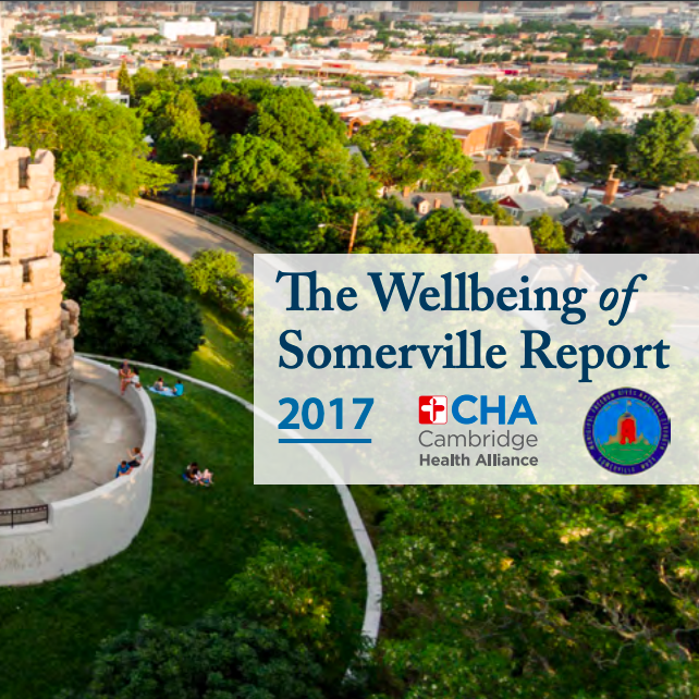 Wellbeing of Somerville Report 2017