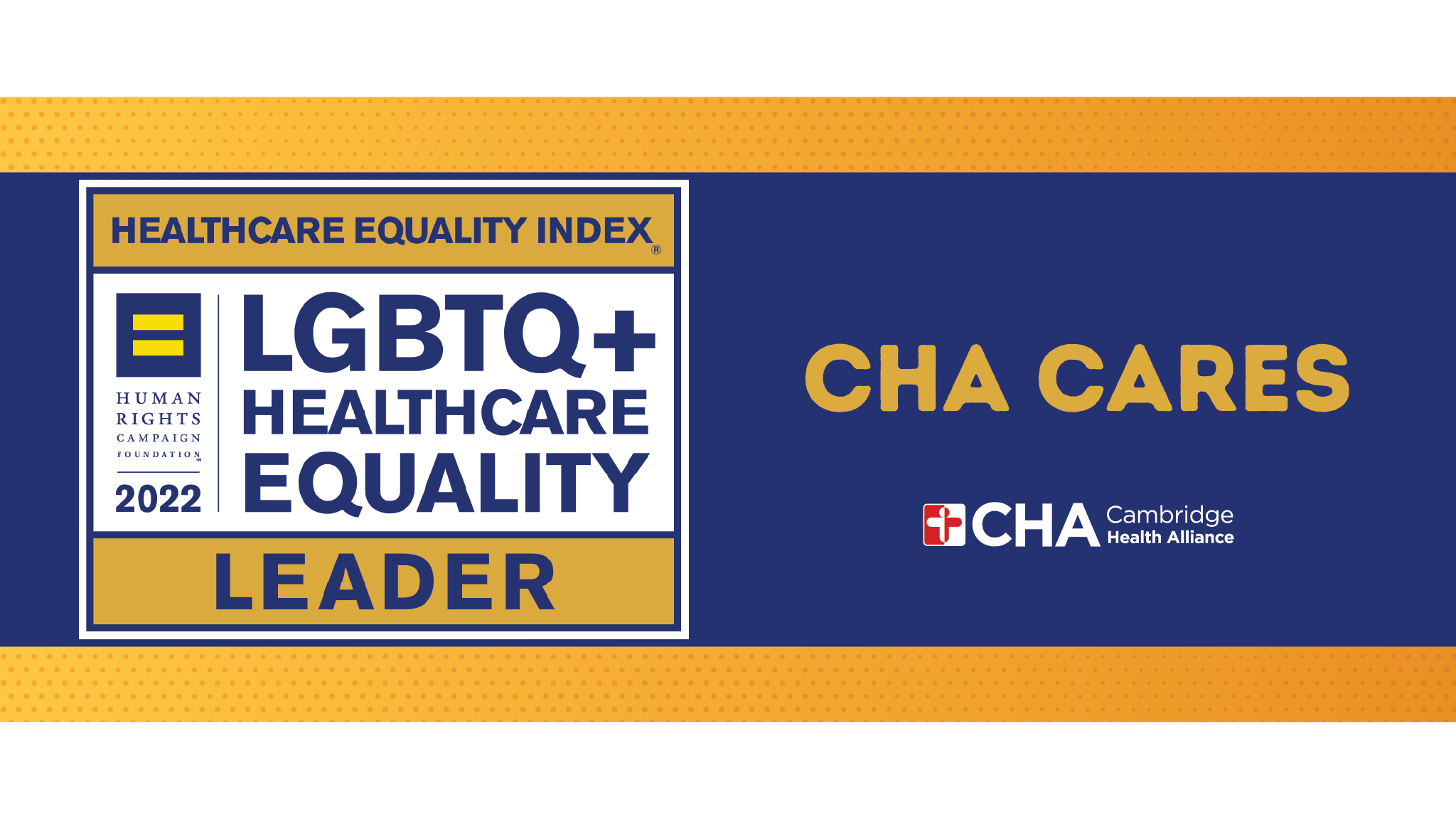 Healthcare Equality Index - 2022